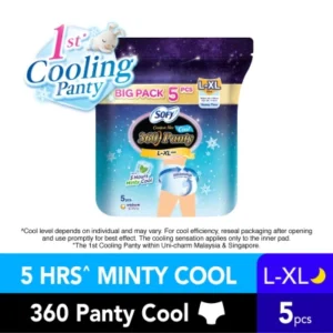 Comfort Nite 360 Panty Cool L-XL 5S